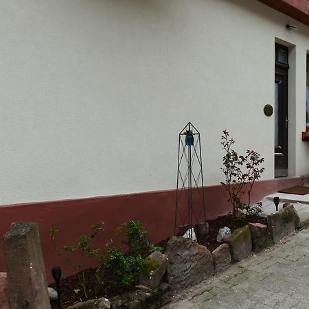 Le Gite Des Sources: Nature, Randonnees, Detente. Oberbronn Экстерьер фото