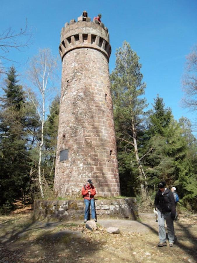 Le Gite Des Sources: Nature, Randonnees, Detente. Oberbronn Экстерьер фото